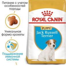 Royal Canin Jack Russell Terrier Puppy (Рояв Канін Джек Рассел Тер’єр Паппі) сухий корм для цуценят 1.5 кг.
