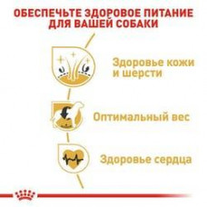 Royal Canin Cocker Adult (Роял Канін Кокер Едалт) сухий корм для собак породи кокер-спання від 12 місяців