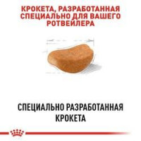 Роуал Canin Rottweiler Adult (Рояв Канін Ротвейлер Едалт) сухий корм для собак порода ротвейлер від 18 місяців 12 кг.