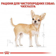 Royal Canin Chhuahua Adult (Рояв Канін Чіхуахуа Едалт) сухий корм для собак чіхуахуа від 8 місяців 1.5 кг.