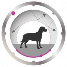 Royal Canin Mini Relax Care (Роял Канін Міні Релакс Кер) сухий корм для собак до 10 кг у разі стресів