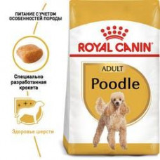 Royal Canin Poodle Adult (Роя Канін Пудель Едалт) сухий корм для дорослих собак пудель від 10 місяців 1.5 кг.