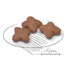 Royal Canin Mini Adult 8+ (Роял Канін Міні Едалт 8+) сухий корм для маленьких собак 4-10 кг від 8 років