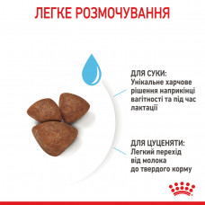 Royal Canin Mini Starter (Рояв Канін Міні Стартер Мазер Бебідог) корм для вагітних і годують собак до 10 кілограмів 1 кілограм.
