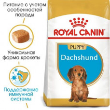 Royal Canin Dachshund Puppy (Роял Канін Такса Паппі) сухий корм для цуценят
