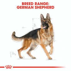 Royal Canin German Sheperd Adult (Рояв Канін Джерман Шеперд Едалт) сухий корм для дорослої німецької вівчарки 11 кілограмів.