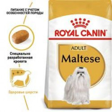 Royal Canin Maltese Adult (Роял Канін Мальтиз Едалт) сухий корм для собак мальтійська болонка від 10 місяців