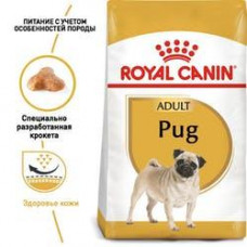 Royal Canin Pug Adult (Роял Канін Паг Едалт) сухий корм для дорослих собак породи мопс від 10 місяців