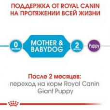 Royal Canin Giant Starter (Рояв Канін Джаїнт Стартер Мазер & Бебідог) корм для вагітних гігантських собак 1 кг.