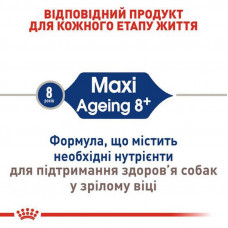 Royal Canin Maxi Ageing 8+ (Роял Канін Максі Ейджинг 8+) сухий корм для собак великих порід від 8 років