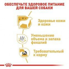 Royal Canin Maltese Adult (Рояв Канін Мальтиз Едалт) сухий корм для собак мальтійської болонка від 10 місяців 0.5 кг.