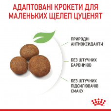 Royal Canin Maxi Puppy (Рояв Канін Максі Паппі) сухий корм для цуценят великих порід 15 кг.