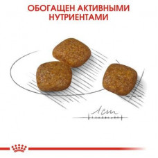 Royal Canin Mini Urinary Care (Рояв Канін Міні Урінарі Кер) сухий корм для собак до 10 кілограмів для сечової системи 1 кг.