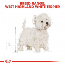 Royal Canin West Highland White Terrier Adult (Рояв Канін Вест Гайленд Уайт Тер’єр Едалт) корм для собак 3 кг.