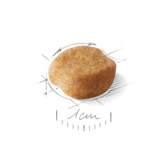 Royal Canin Yorkshire Terrier Adult (Рояв Канин Йоркшир Тер'єр Едалт) корм для йоркширських тер'єрів від 10 міс 3 кг.