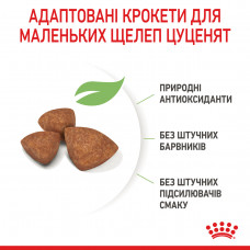 Royal Canin X-Small Puppy (Рояв Канін Ікс-смол Паппі) сухий корм для цуценят дуже дрібних порід 1.5 кг.