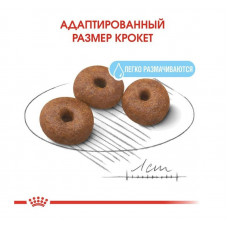 Royal Canin Giant Starter (Рояв Канін Джаїнт Стартер Мазер & Бебідог) корм для вагітних гігантських собак 1 кг.