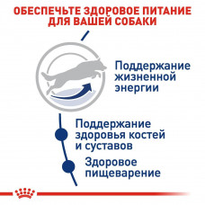 Royal Canin Maxi Adult (Рояв Канін Максі Едалт) сухий корм для дорослих собак великих порід 15 кілограмів.