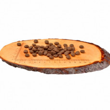 Carnilove Salmon for Adult Dogs (Карнилав Лосось Эдалт) сухой беззерновой корм для взрослых собак всех пород