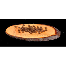 Carnilove Salmon & Turkey Large Breed Adult Dogs (Карнилав Лосось Индейка) беззерновой корм для крупных собак