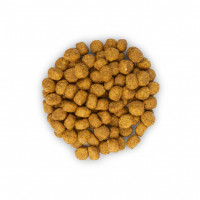 Hills SP Feline Adult 1+ Perfect Weight Chicken (Хіллс CП Філайнт Перфект Вейгт) для котів з понад 1.5 кг