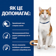 Hills Prescription Diet Feline k/d Early Stage (Хиллс к/д Курица) корм для котов для поддержки функции почек