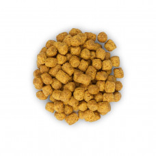 Hills Science Plan Feline Adult Sterilised (Хіллс Стерилізед Курка) корм для котів стерильних 1-6 років 10 кг.