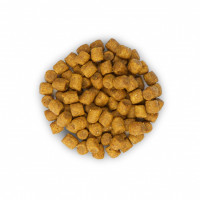 Hills Science Plan Feline Adult 1-6 Lamb Rice (Хіллс СП Філайн Едалт Ягня й Рис) для дорослих кішок 1-6 років