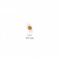 Hills Science Plan Feline Adult 1-6 Lamb Rice (Хіллс СП Філайн Едалт Ягня й Рис) для дорослих кішок 1-6 років