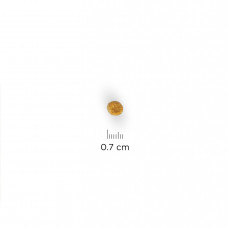 Hills Science Plan Feline Adult 1-6 Lam Rice (Хіллс СП Філайн Едалт Ягня і Ріс) для дорослих котів 1-6 років 10 кг