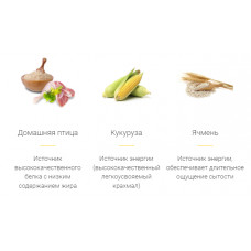 JosiCat Kitten (ЙозіКет Кіттен) сухий корм для кошенят і вагітних кішок з лососевою олією