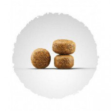 Josera Balance (Йозера Баланс) сухий корм для собак, що старіють, з помірною енергією