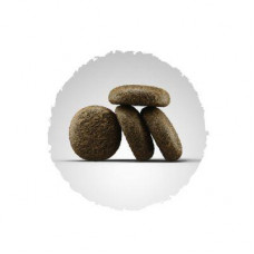 Josera Lachs & Kartoffel (Йозера Лосось і Картопля) сухий беззерновий корм для дорослих собак