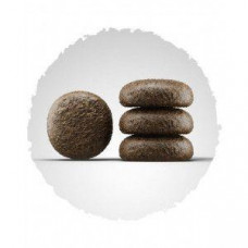 Josera Festival (Йозера Фестивал) сухий корм для дорослих собак перебірних у їжі