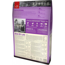 Orijen Puppy Large (Оріджен Паппі Ладж) сухий корм для цуценят великих порід