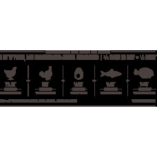 Orijen Senior (Ориген Сеньор) сухий корм для літніх собак 11.4 кг.