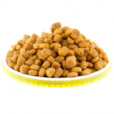 Purina Pro Plan Adult Delicate Turkey (Пурина Про План Эдалт Деликат) для котов с чувствительным пищеварением