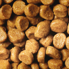 Purina Pro Plan Original Kitten Chicken (Пурина Про План Ориджинал Киттен Чикен) для котят с курицей