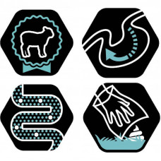 Purina Pro Plan Large Athletic Adult (Пурина Про План Ладж Едалт Ягня) корм для собак великих атлетичних