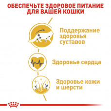 Royal Canin Maine Coon Adult (Рояв Канін Мейн Кун Едалт) сухий корм для котів мейн-кун від 15 місяців 10 кг.