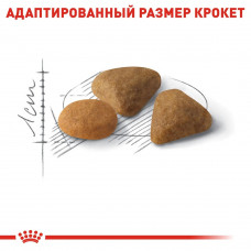 Royal Canin Savour Exigent (Рояв Канін Савур Ексіджент) сухий корм для котів привердливих в їжу від 12 місяців