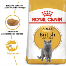 Royal Canin British Shorthair Adult (Рояв Канін Брітіш Шортхайр) корм для кішок британська короткошерсна 10 кг.