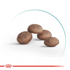 Royal Canin Sterilised 11+ (Роял Канин Стерелайзд 11+) сухой корм для стерилизованных кошек старше 11 лет