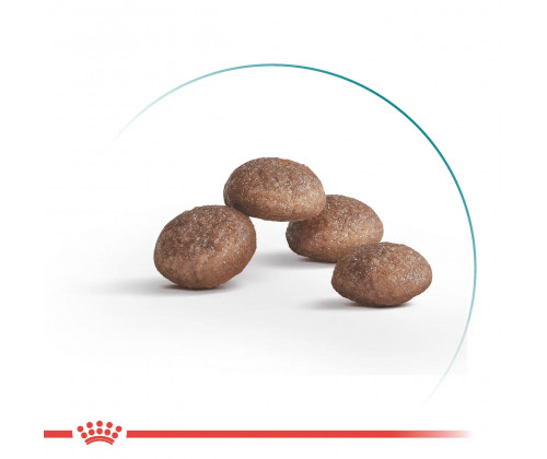 Royal Canin Sterilised 11+ (Роял Канин Стерелайзд 11+) сухой корм для стерилизованных кошек старше 11 лет 2 кг.