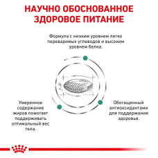 Royal Canin Diabetic (Рояв Канін Діабетик Фелін) сухий корм для кішок при цукровому діабеті 1.5 кг.