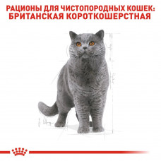 Royal Canin British Shorthair Adult (Рояв Канін Брітіш Шортхайр) корм для кішок британська короткошерсна 10 кг.