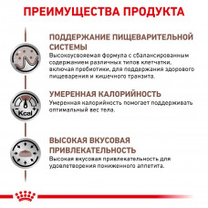 Royal Canin Gastrointestinal Moderate Calorie (Роял Канін Гастроінтестинал Модерет) корм для травлення котів