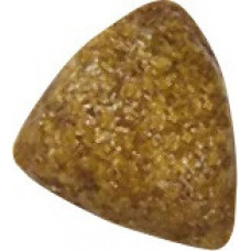 Royal Canin Renal Special Feline (Роял Канін Ренал Поспішал Фелін) корм для кішок зі нирковою недостатністю