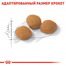 Royal Canin Protein Exigen (Рояв Канін Протеїн Ексіджент) сухий корм для котів привертливих до їжі від 12 міс. 2 кг.
