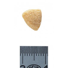 Royal Canin Hypoallergenic (Рояв Канін Гіпоалерженік Фелін) сухий корм для кішок при алергії на корму 2.5 кг.